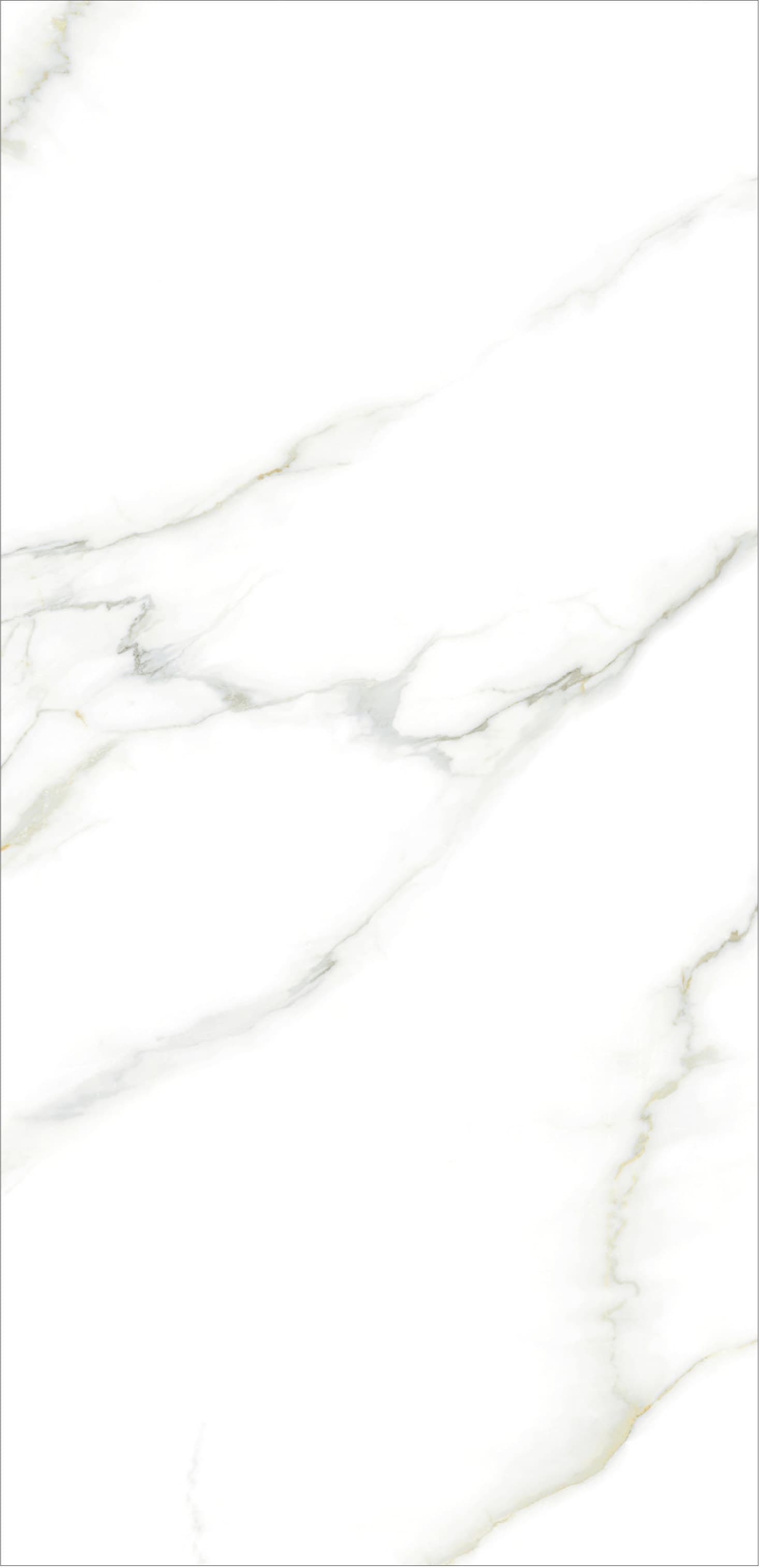 بورسلان الجمال 60×120 — RS-612809WPS - شكل البلاطة